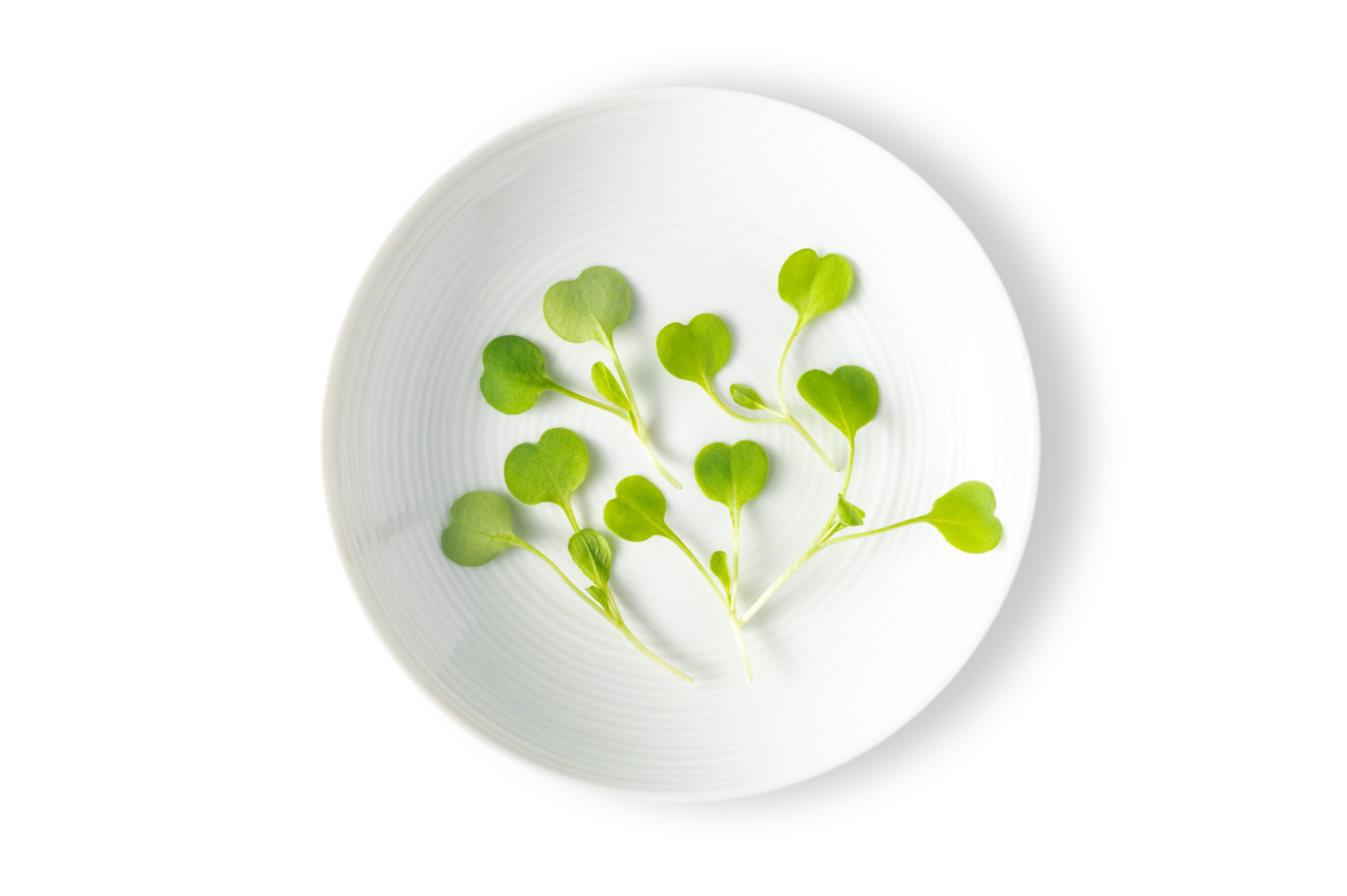 Micro Arugula