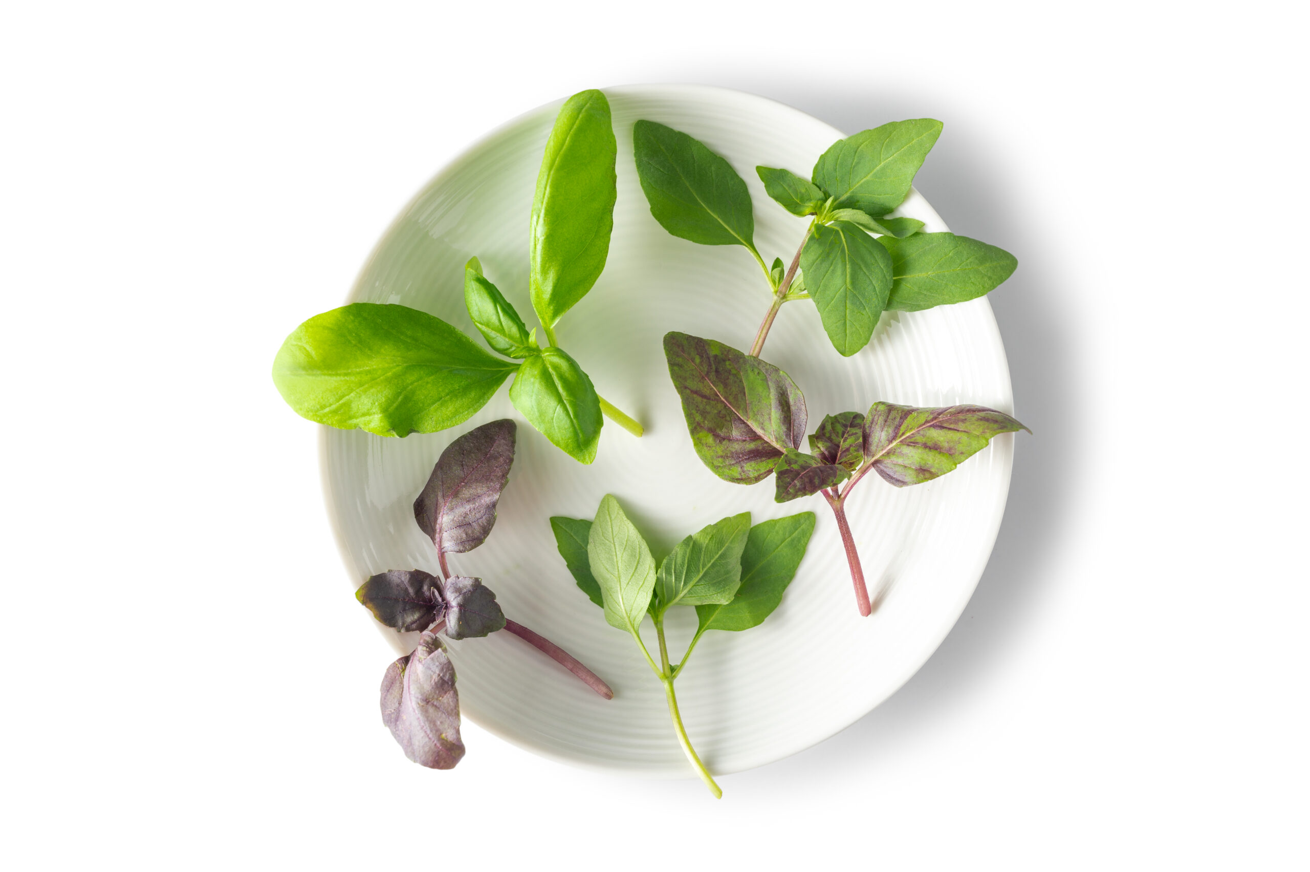 Petite® Basil Mix™