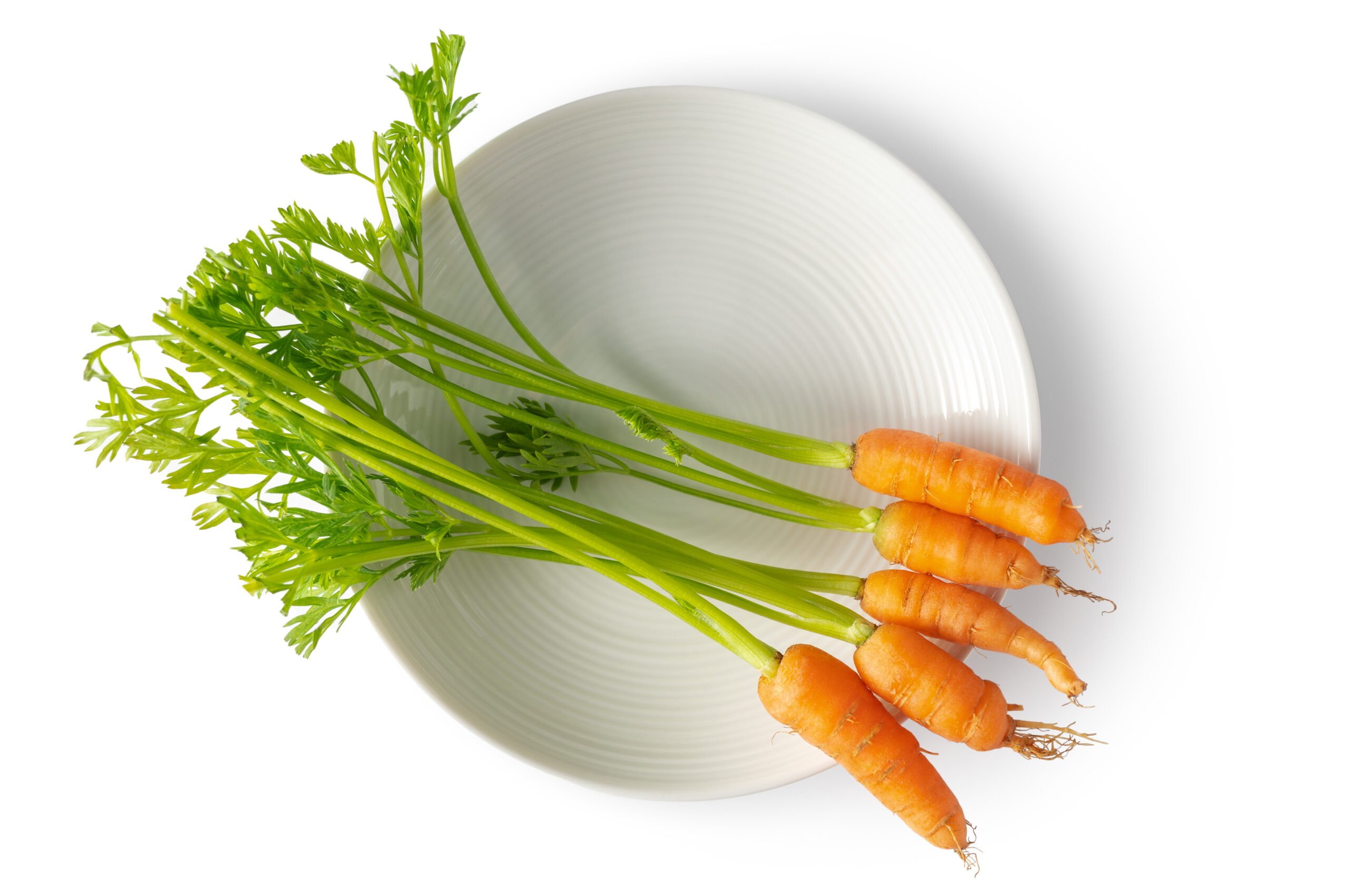 Tiny Veggies™ Carrot